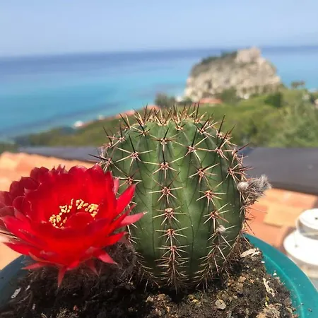 La Mesonette A Due Passi Dal Mare * Tropea