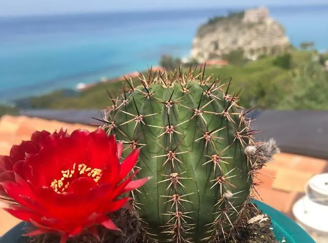 La Mesonette A Due Passi Dal Mare * טרופאה